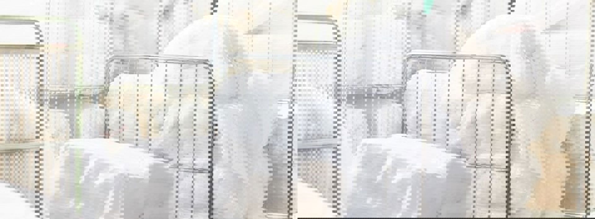 Commercial Laundry White Clean Pillows Min