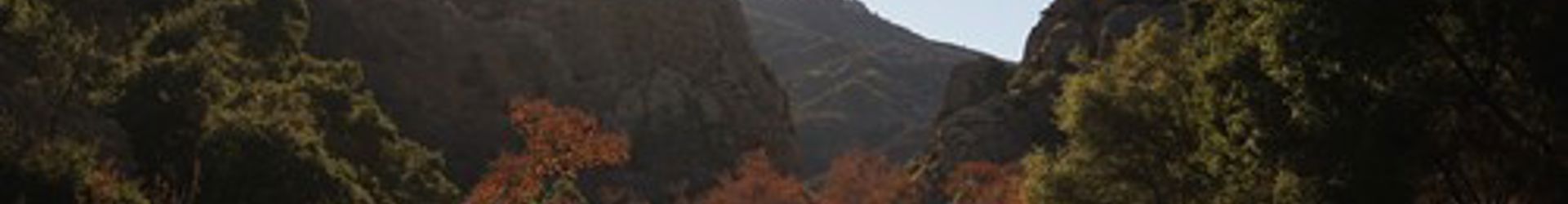 Calabasas Shutterstock 1888490299 (1)