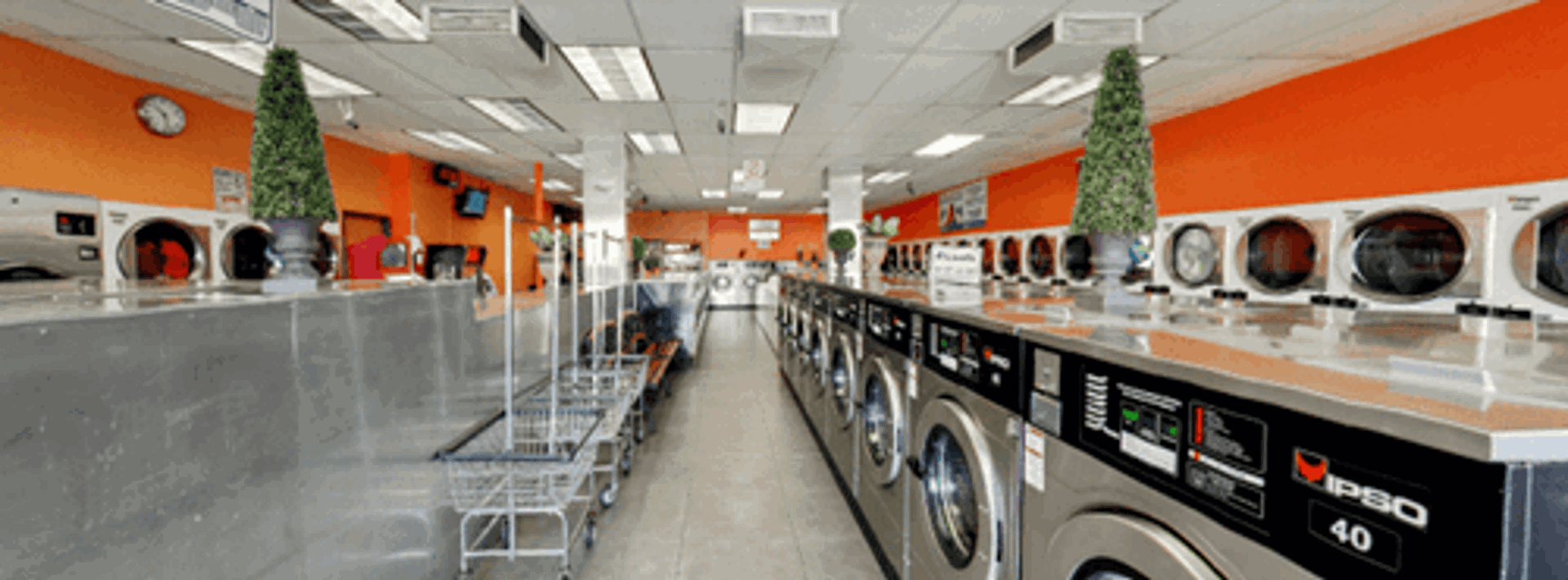 Inside Rinse And Roll Min