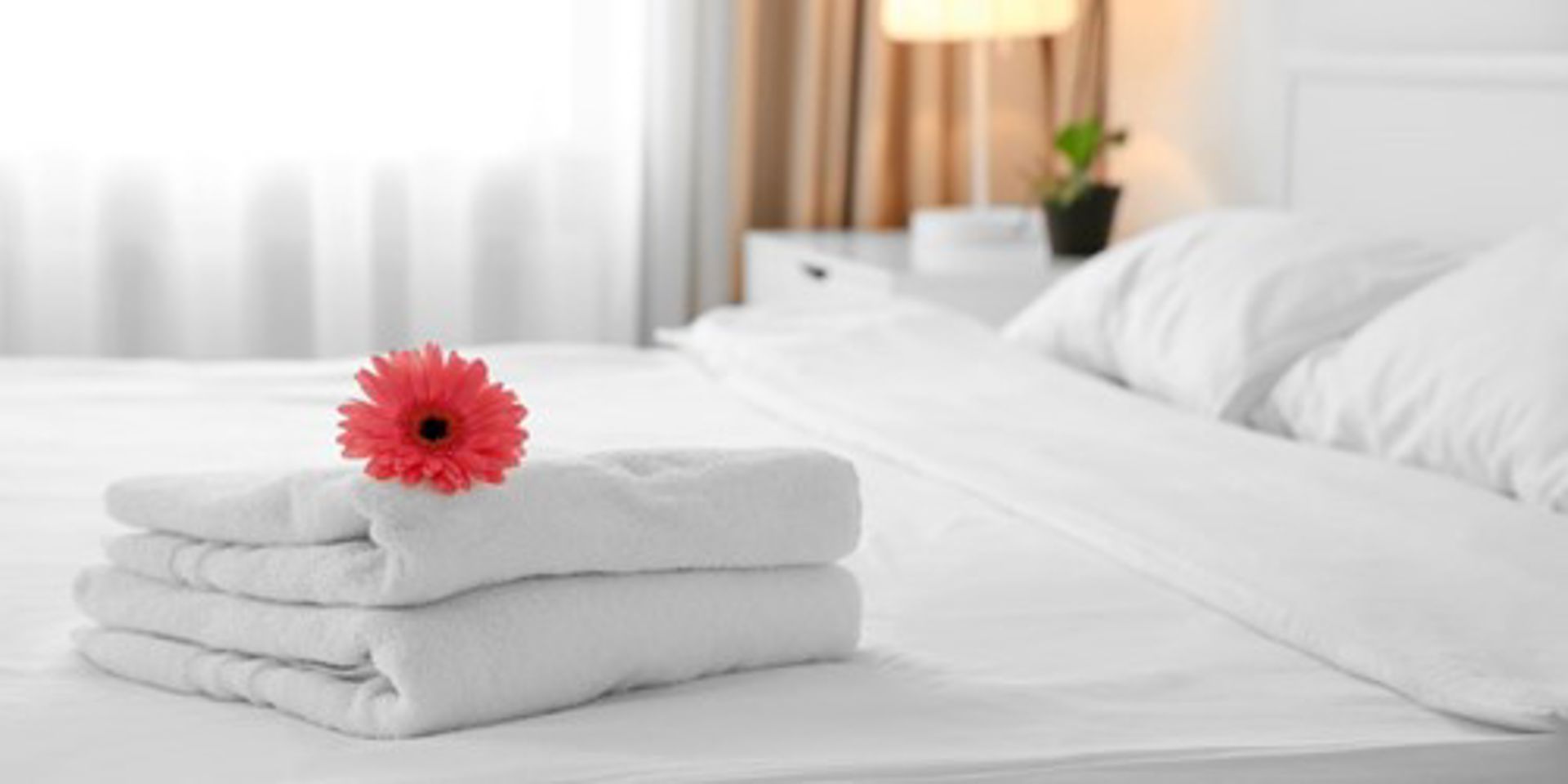 Commercial Laundry near San Fernando Valley, CA Airbnb Laundry